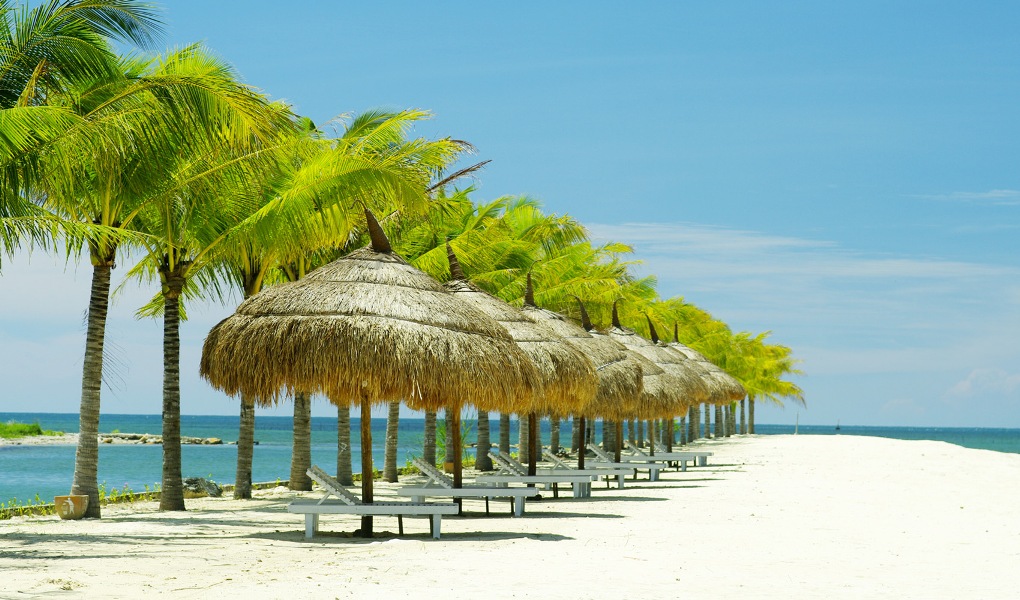 HÀ NỘI - NHA TRANG - ĐÀ LẠT -  HÀ NỘI 5N4Đ (Mã tour: NĐHANVN-ĐL06)